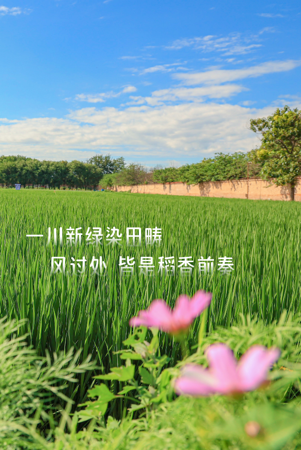 81f4bd646e71e2c593d35ae5155520d6.png